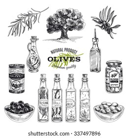 Vector hand drawn illustration with olives and olive oil. Sketch.