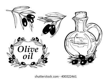 Vector hand drawn illustration with olives and bottle of olive oil. Sketch, doodle.