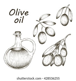 Vector hand drawn illustration with olives and olive oil sketch.