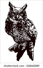 vector hand drawn illustration with owl black and white