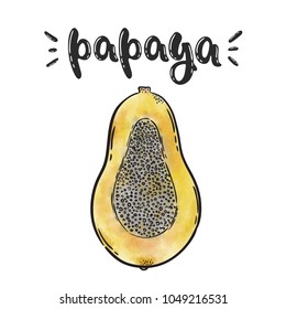 Vector hand drawn illustration. Papaya cut, painted with watercolor, exotic fruit, benefits and vitamins. The inscription lettering. The idea for the design of a t-shirt, poster, postcard, product, we