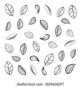 Vector hand drawn illustration pattern.