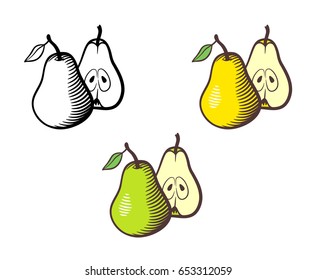 Vector hand drawn illustration pear  Whole fruit and stem   leaf   cross section and seeds  Yellow  green   outline version
