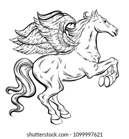 Vector hand drawn illustration of Pegasus isolated. Template for card, poster, banner, print for t-shirt, label and badge. 