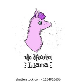 Vector hand drawn illustration. Phrases No drama Llama, lettering. Idea for poster, postcard.
