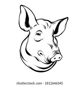 Vector hand drawn illustration of pig's head. Tattoo artwork. Template for card, poster, banner, print for t-shirt, pin, badge, patch.