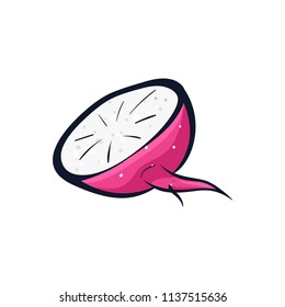 Vector hand drawn illustration of a pink radish. Coloful cartoon icon. Food art for print, web, mobile and infographics. Isolated on white background element.