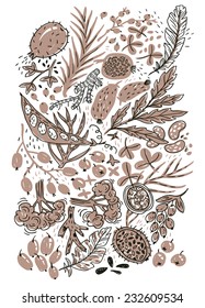 vector hand drawn illustration of plants, vegetables and beans