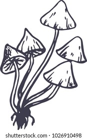 Vector hand drawn illustration of poisonous mushroom.