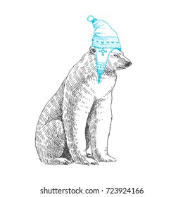 Vector hand drawn illustration with polar bear in winter hat isolated on white background. Funny animal for print.