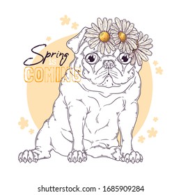 Vector hand drawn illustration. Portrait of the dog with flowers on his head. The pug sits with a funny expression on his face. Each object can be changed and moved for your design.