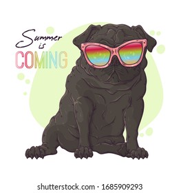 Vector hand drawn illustration. Portrait of the dog in cute glasses. The pug sits with a funny expression on his face. Each object can be changed and moved for your design.