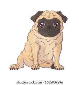 Vector hand drawn illustration. Portrait of the dog. The pug sits with a funny expression on his face. Each object can be changed and moved for your design.