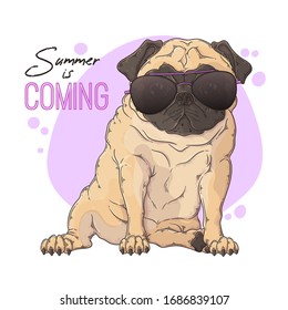 Vector hand drawn illustration. Portrait of the dog in cute glasses. The pug sits with a funny expression on his face. Each object can be changed and moved for your design.