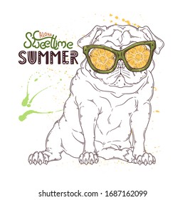  Ilustración dibujada a mano por vectores. Retrato del perro en gafas bajo el efecto de la piña. El pug se sienta con una expresión graciosa en su cara. Cada objeto se puede cambiar y mover para el diseño.