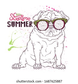 Vector hand drawn illustration. Portrait of the dog in glasses under the effect of pitaya. The pug sits with a funny expression on his face. Each object can be changed and moved for your design.
