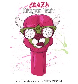 Vector hand drawn illustration. Portrait of cute alpaca in glasses in pitaya effect glasses. Each object can be changed and moved for your design.