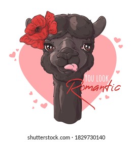 Vector hand drawn illustration. Portrait of cute alpaca with flowers. Each object can be changed and moved for your design.