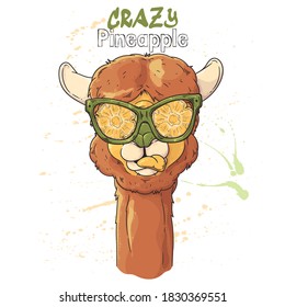 Vector hand drawn illustration. Portrait of cute alpaca in pineapple effect glasses. Each object can be changed and moved for your design.