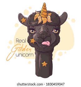 Vector hand drawn illustration. Portrait of cute alpaca with unicorn horn. Each object can be changed and moved for your design.