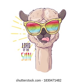 Vector hand drawn illustration. Portrait of cute alpaca in glasses. Each object can be changed and moved for design.