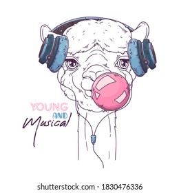 Vector hand drawn illustration. Portrait of cute alpaca blows a bubble of chewing gum. Sketch art. Each object can be changed and moved for your design.