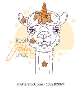 Vector hand drawn illustration. Portrait of cute alpaca with unicorn horn. Sketch art. Each object can be changed and moved for your design.