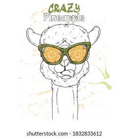 Vector hand drawn illustration. Portrait of cute alpaca in pineapple effect glasses. Sketch art. Each object can be changed and moved for your design.