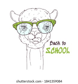 Ilustración dibujada a mano por vectores. Retrato de una bonita alpaca. Dibujar arte. Cada objeto se puede cambiar y mover para su diseño.