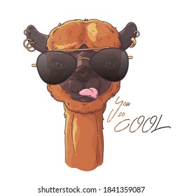 Vector hand drawn illustration. Portrait of cute alpaca in glasses. Each object can be changed and moved for your design.
