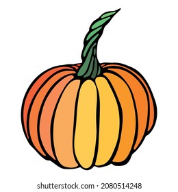 Vector hand drawn illustration of pumpkin. Isolated object on white background. Vegetable harvest clip art.  Farm market product. Elements for autumn design, decoration.