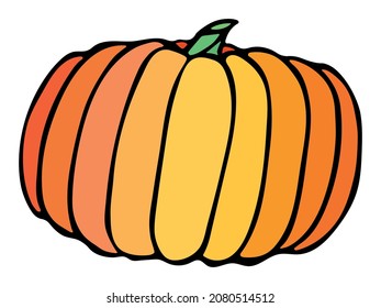 Vector hand drawn illustration of pumpkin. Isolated object on white background. Vegetable harvest clip art.  Farm market product. Elements for autumn design, decoration.