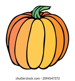 Vector hand drawn illustration of pumpkin. Isolated object on white background. Vegetable harvest clip art.  Farm market product. Elements for autumn design, decoration.
