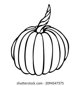 Ilustración de calabaza dibujada a mano por vectores. Objeto aislado sobre fondo blanco. Pintura de cosecha vegetal. Producto de mercado agrícola. Elementos de diseño y decoración otoñales.