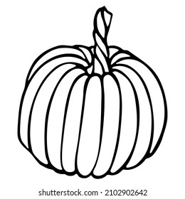 Vector hand drawn illustration of pumpkin. Isolated object on white background. Vegetable harvest clip art. Farm market product. Elements for autumn design, decoration.