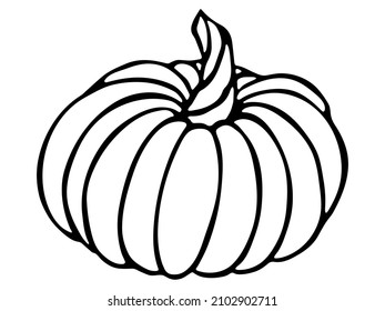 Ilustración de calabaza dibujada a mano por vectores. Objeto aislado sobre fondo blanco. Pintura de cosecha vegetal. Producto de mercado agrícola. Elementos de diseño y decoración otoñales.