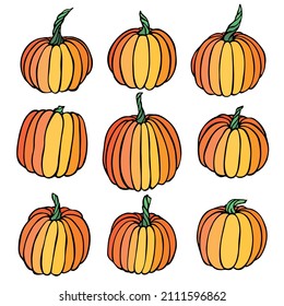 Vector hand drawn illustration of pumpkin. Isolated object on white background. Vegetable harvest clip art. Farm market product. Elements for autumn design, decoration.