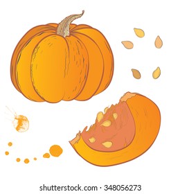 Vector hand drawn illustration of pumpkin. Slice pumpkin. Paint splashes splatters. Pumpkin seeds. Isolated on white background