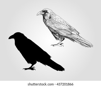 Vector hand drawn illustration of raven and silhouette