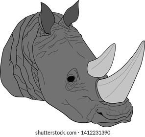 Vector hand drawn illustration of rhinoceros head isolated on white background
