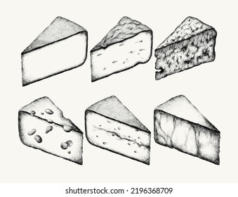 Vector hand drawn illustration of roquefort, brie, goat, morbier, comte, grana padano, valencay, blue cheese with mold . Template for card, poster, banner, print for t-shirt.