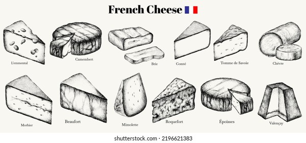 Vektorhandgezeichnete Illustration von Roquefort, Braun, Ziege, Morbier, Komt, Grana Padano, Valencay, blauer Käse mit Schimmel . Vorlage für Karte, Poster, Banner, Druck für T-Shirt.