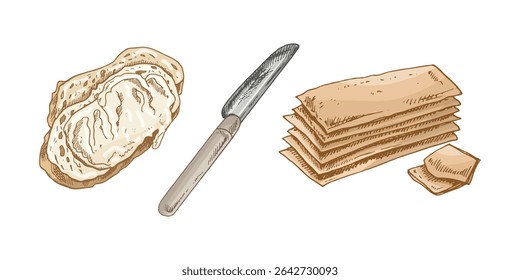 Vector hand drawn illustration of sandwich with butter and knife.  Brown and white pastry  drawing isolated on white background. Sketch icon and bakery element for print, web, mobile.