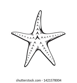 Vector hand drawn illustration of sea star, vector line art illustration isolated on white background