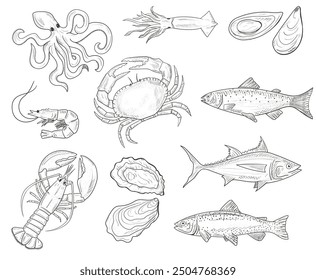 Vector hand drawn illustration with seafood. Sketch. Mediterranean cuisine. Lobster, oysters, shrimp, fish, mussels, crab, tuna, salmon, trout, squid.