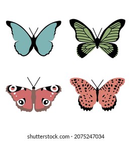 Vector hand drawn illustration set of Butterflies. Flat Butterfly collection. Isolated on white background