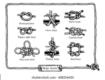 Vector Hand Drawn Illustration Set Of Different Rope Knots. Figure-eight, Jury Mast (masthead), Reef (square), Overhand Knot, Clove And Timber Hitchs, Sheet And Carrick Bends.