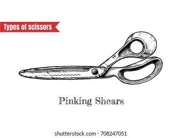 Vector hand drawn illustration of sewing and clothes-making scissors in vintage engraved style. Pinking shears isolated on white background.