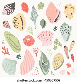 vector hand drawn illustration with shells