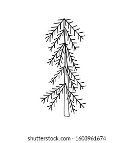 Vector hand drawn illustration of simple fir tree in doodle style
